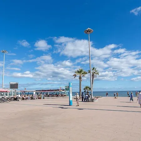 Calma Masase Maspalomas (Gran Canaria)